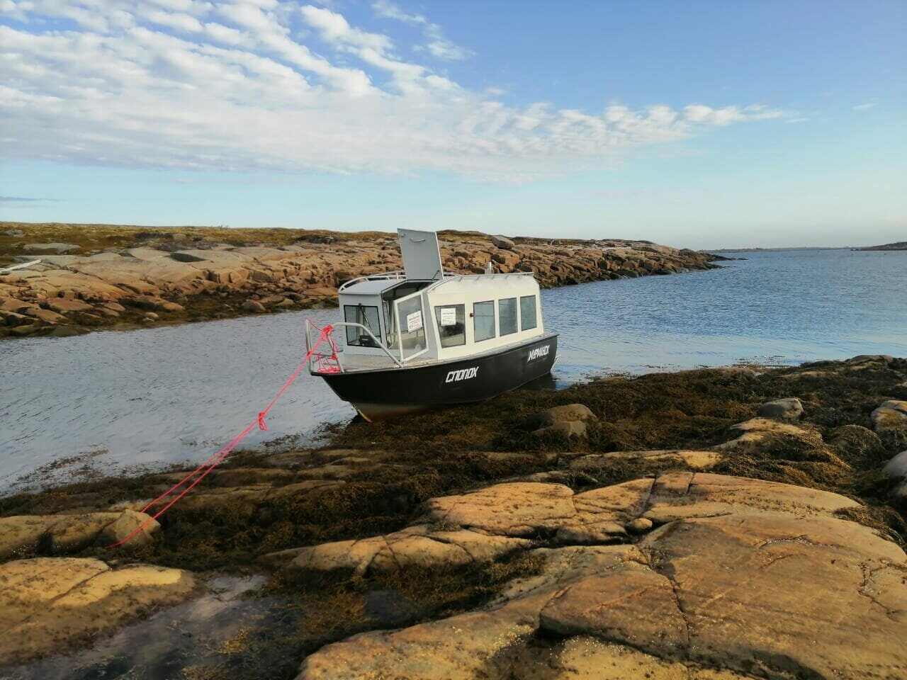 IMG-20210606-WA0009